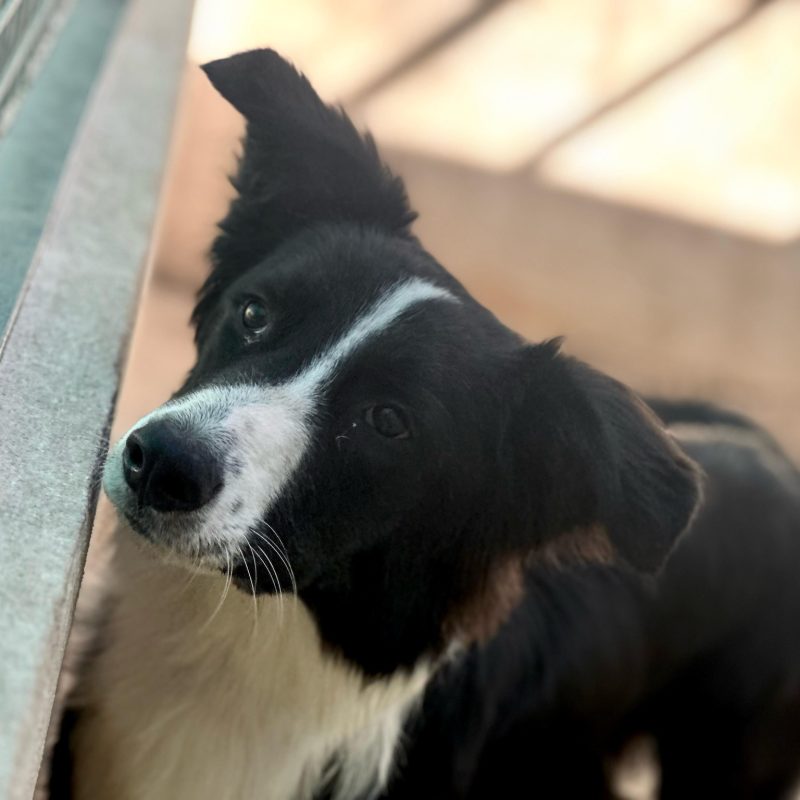 533068138_1165065952320583_9027152478162825363_n