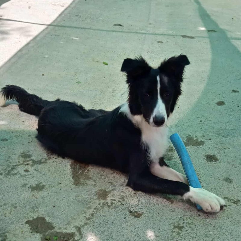 533109805_1165065658987279_2114213895888322757_n