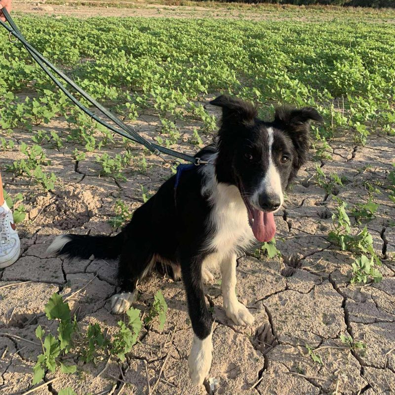 533113425_1165065805653931_5046713839640866416_n