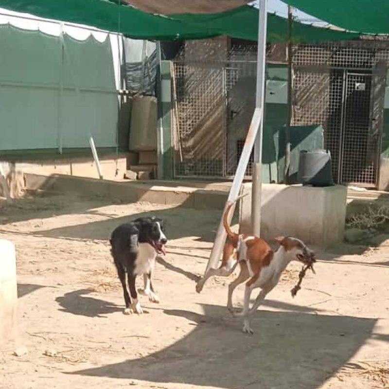 534814443_1165065582320620_9162375975659681535_n