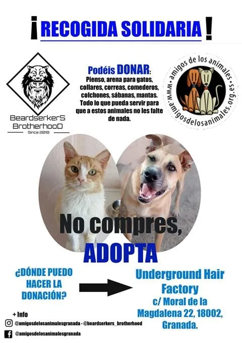 Recogida Solidaria Underground Hair Factory