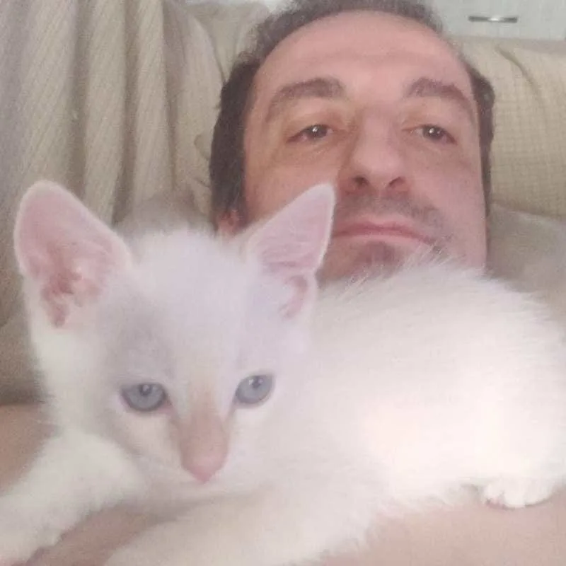 jesus-gatos