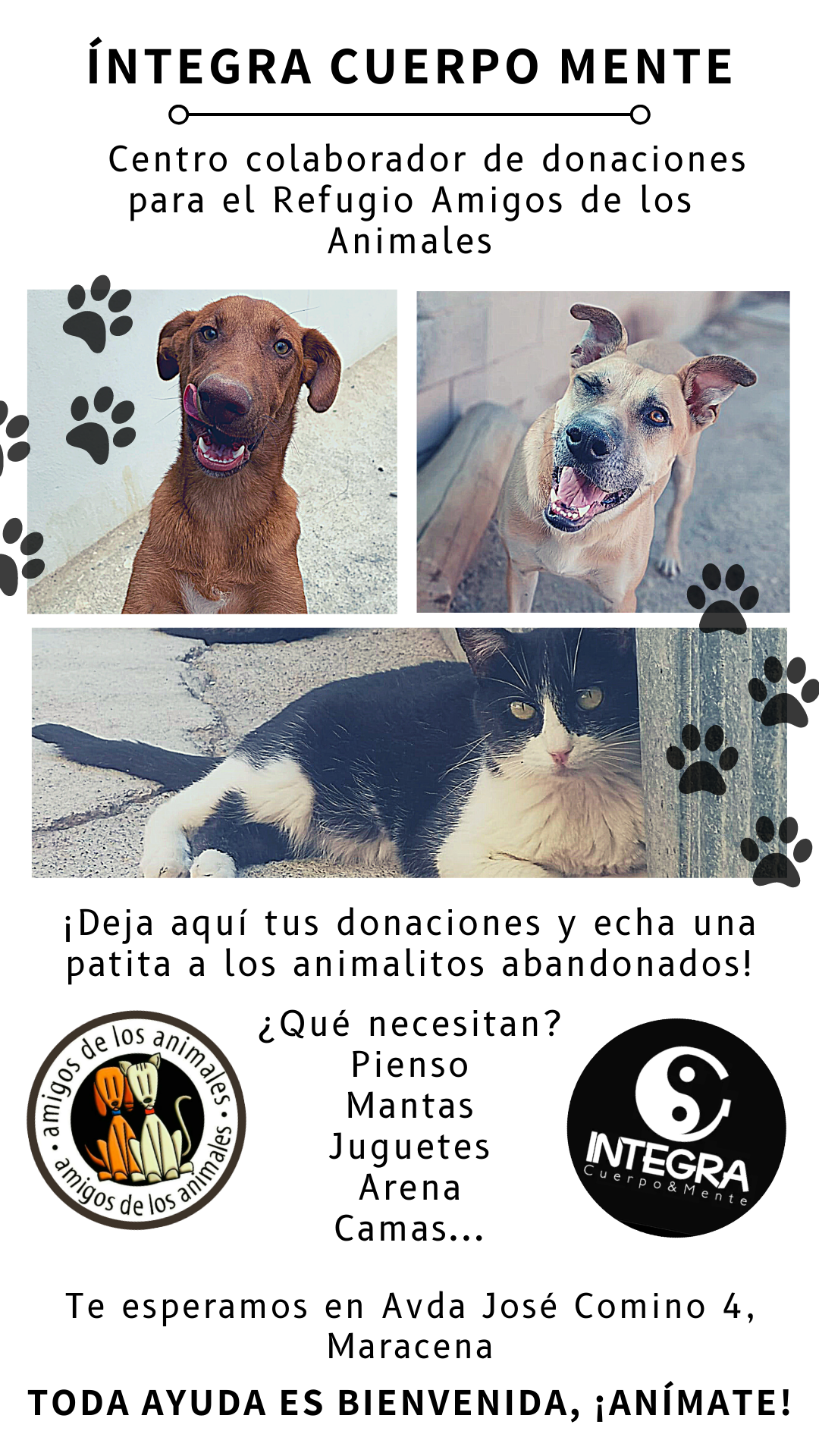 ÍNTEGRA CUERPO MENTE Integra Cuerpo Mente Centro Donaciones