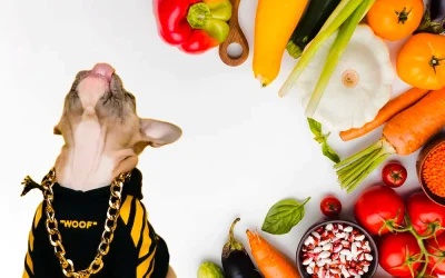 Alimentos prohibidos para mascotas: Lo que nunca debes darles para cuidar su salud