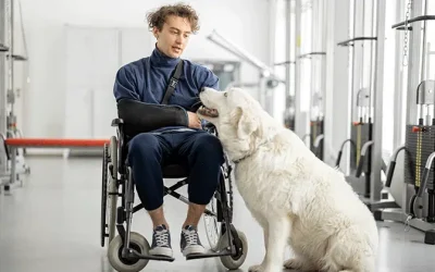 Cómo la terapia con perros en hospitales mejora la salud mental y acelera la recuperación de los pacientes