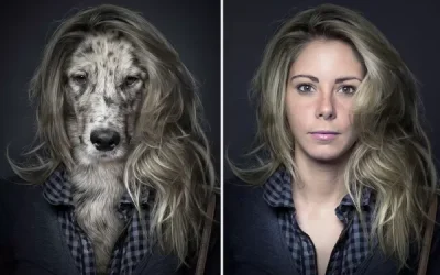 Descubre por qué te pareces más a tu perro que a tu pareja