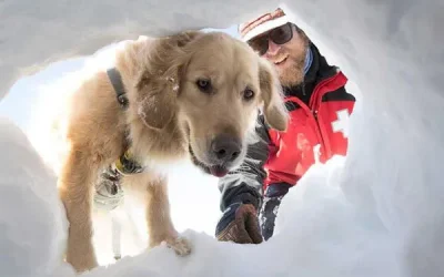 El entrenamiento de los perros de rescate