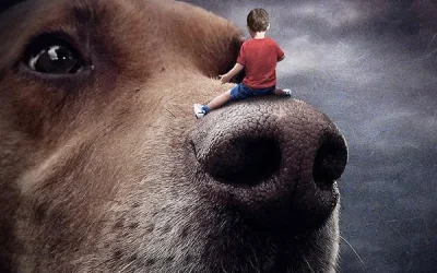 ¿Los animales tienen imaginación? Descubre cómo piensan y resuelven problemas creativamente