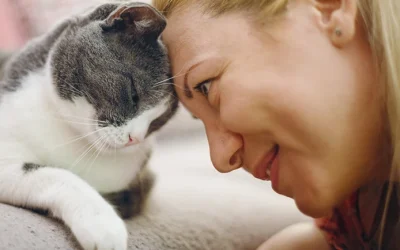 ¿Por qué los gatos son tan selectivos con las personas? Entiende la personalidad felina
