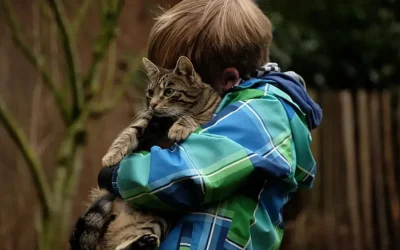 ¡Sorprendente! Los gatos superan a los bebés humanos al aprender nombres