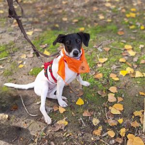 Katty, el torbellino alegre con un gran corazón