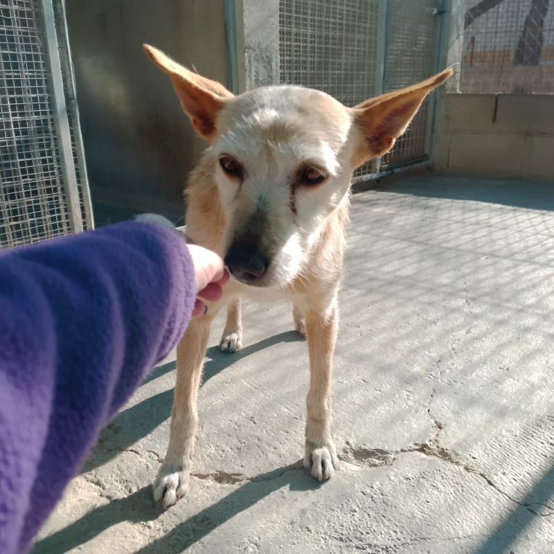 486963325_1053319070161939_877492260334583135_n