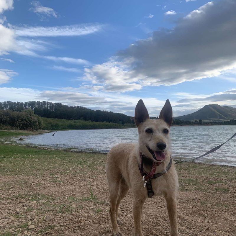 496252955_1090609136432932_7197670980248874427_n