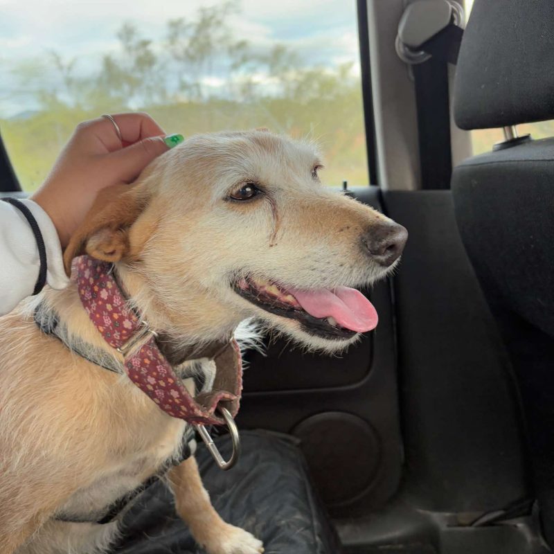 496294963_1090609223099590_7693141100486414414_n