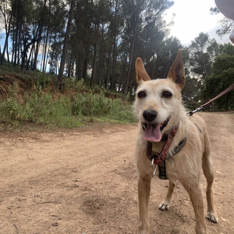 497502342_1090609116432934_7768371543905351357_n