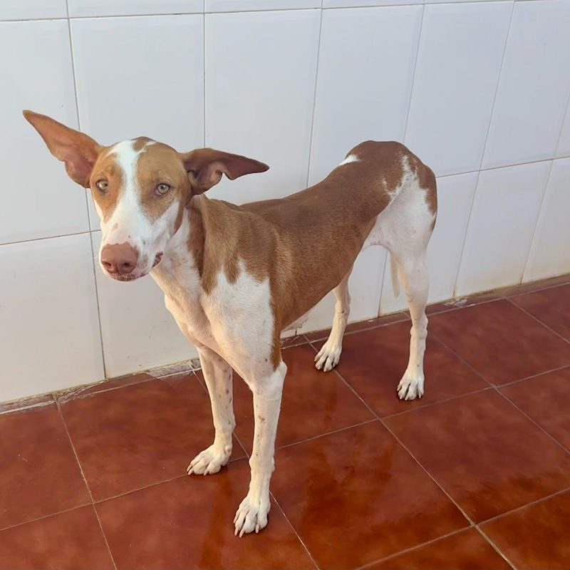 547289698_1189994346494410_3379655865506491423_n