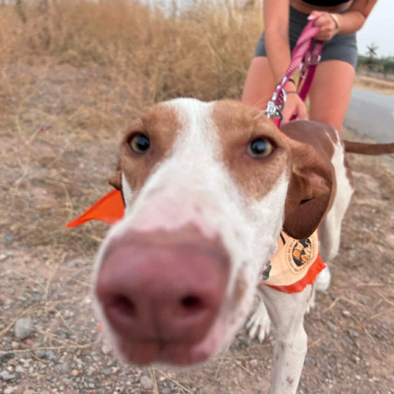 548505875_1189994673161044_3030495627125263211_n