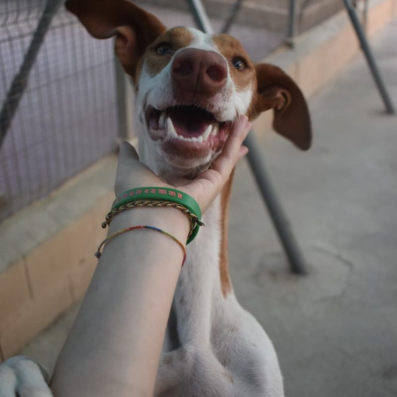 558444095_1245256110977361_4692854810731361845_n