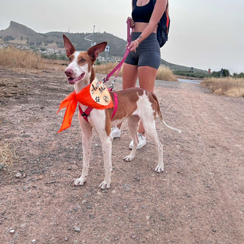 561322604_1245256434310662_905383761996439239_n